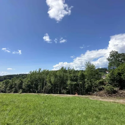 Großes Baugrundstück in idyllischer Lage mit toller Aussicht direkt Am Kaiserberg in Lannach nahe Graz - Bild 2