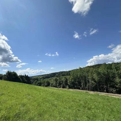 Ideal für große und kleine Bauträger! Tolles Baugrundstück  mit beeindruckendem Ausblick nahe des Grazer Stadtrands am Kaiserbergs in Lannach - Bild 2