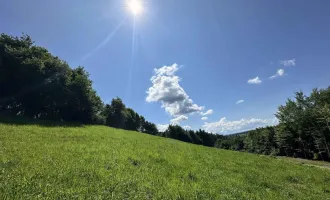 Ideal für große und kleine Bauträger! Tolles Baugrundstück  mit beeindruckendem Ausblick nahe des Grazer Stadtrands am Kaiserbergs in Lannach