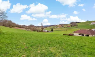 Neuer Preis! - Großer Wohnbau-Grund. - Zwischen Jennersdorf und Fürstenfeld.