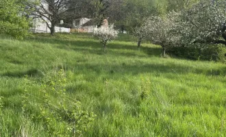 Altes Bauernhaus mit Wirtschaftsgebäuden zu verkaufen!