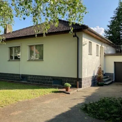 Bungalow bei Gmünd - Bild 3