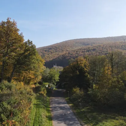 SAGENHAFT - Nachhaltige Massivholz-Einfamilienhäuser - Bild 2