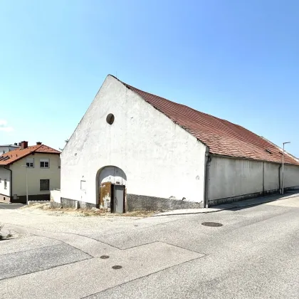 Großes Baugrundstück mit Altbestand in Neusiedl am See * Seeblick - Bild 2