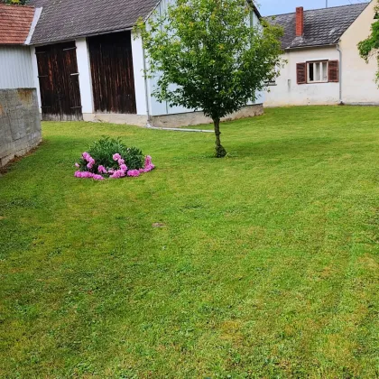 Haus mit Garten, Stadl und Pferdestall - Bild 3