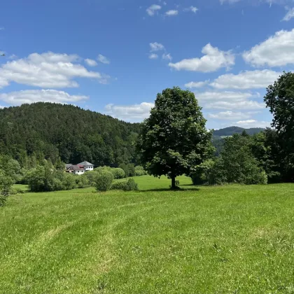 Idyllisches Landhaus nahe St. Thomas am Blasenstein - Natürliche Schönheit und historischer Charme vereint - Bild 2