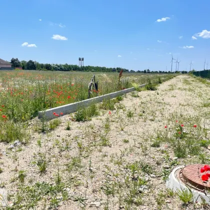 Top-Lage: Gewerbegrundstück ab ca. 3000m²  Grenzstation Österreich Ungarn A4, Bahn - Bild 2