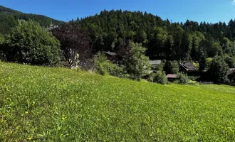 Baugrundstück in sonniger, ruhiger Lage mit Blick auf die Berge und Stadt Liezen! ZWEITWOHNSITZFÄHIG!