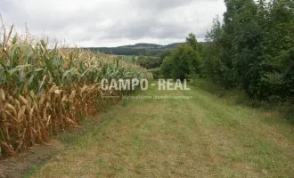 CAMPO LAND- U. FORSTWIRTSCHAFT: Hochwasserfrei - Pferdefreunde aufgepasst - 12,7 ha Acker und 10 ha Wald samt Bauernhaus