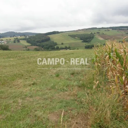 CAMPO LAND- U. FORSTWIRTSCHAFT: Hochwasserfrei - Pferdefreunde aufgepasst - 12,7 ha Acker und 10 ha Wald samt Bauernhaus - Bild 2