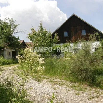 CAMPO LAND- U. FORSTWIRTSCHAFT: Hochwasserfrei - Pferdefreunde aufgepasst - 12,7 ha Acker und 10 ha Wald samt Bauernhaus - Bild 3