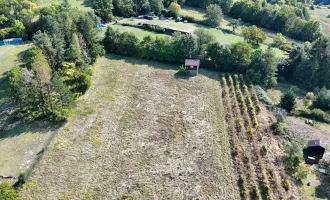 Rarität! 3.300m² Wienerwald-Baugrund in Alleinlage - 20 Minuten von Wien entfernt