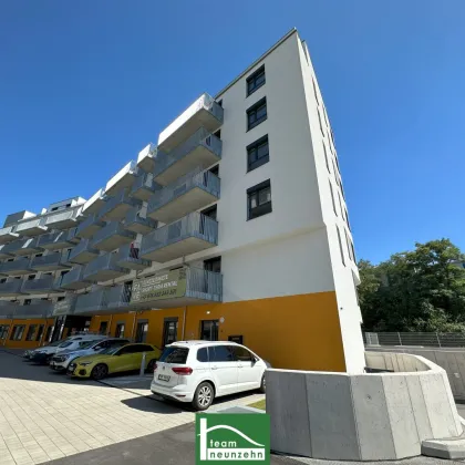 STUDENTENHIT – HEUTE BESICHTIGEN – FLEXIBEL BEZIEHEN – MÖBLIERTE APARTMENTS – RUHELAGE NAHE DEM LAAER WALD - Bild 2