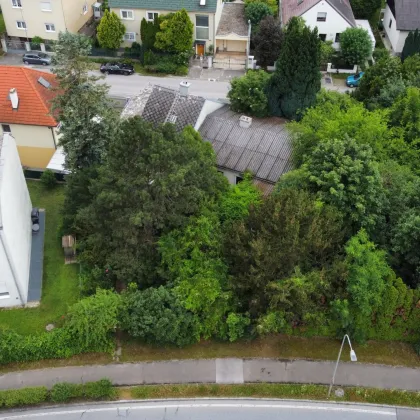 Einfamilienhaus im Grünen an der Grenze zu Wien - Bild 3