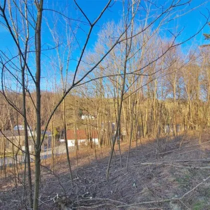 Sonniges Baugrundstück auf Südwest-Hang im Irenental - Bild 3