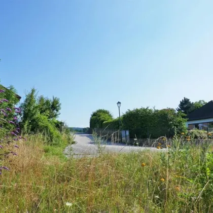 Baugrund an der Donau bei Melk mit Traumausblick bis zum Ötscher - Bild 2