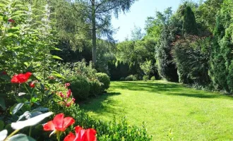 Für Naturliebhaber! Grundstück mit entzückendem Sommerhäuschen in Waldrandlage