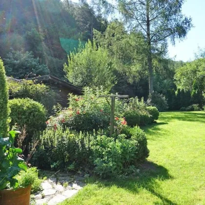 Für Naturliebhaber! Grundstück mit entzückendem Sommerhäuschen in Waldrandlage - Bild 2