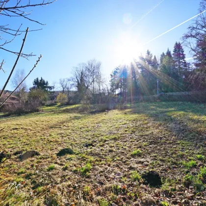 Baugrundstück mit Ausblick in zentraler Ruhelage in Pressbaum - Bild 3