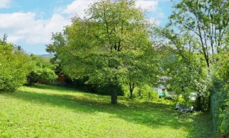 Baugrund auf leichtem Südhang in idyllischer Lage in Tulln-Nähe