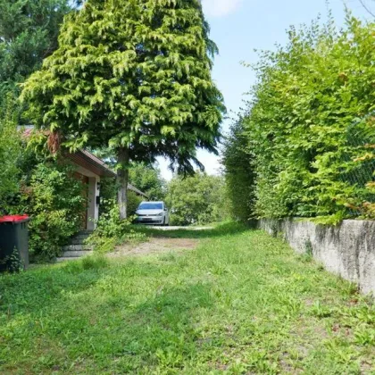 Baugrundstück in idyllischer Lage auf leichtem Südhang in Tulln-Nähe - Bild 2