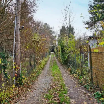 Kleingarten in Ober St. Veit zwischen Hörndlwald und Lainzer Tiergarten - Bild 2