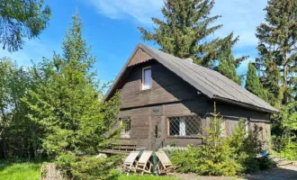 Kleingarten in Ober St. Veit zwischen Hörndlwald und Lainzer Tiergarten