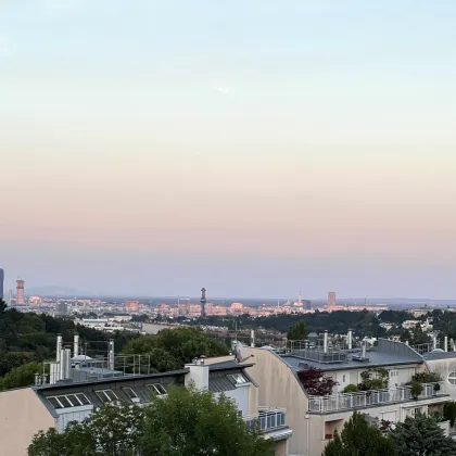 Spektakuläres Penthouse in Neustift am Walde mit Rundumblick und großzügigen Freiflächen - Bild 3