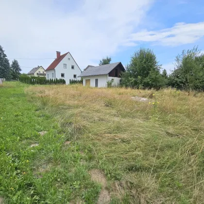 Ruhelage! Wunderschöne, sonnige Grundstücke in Lieboch! - Bild 3