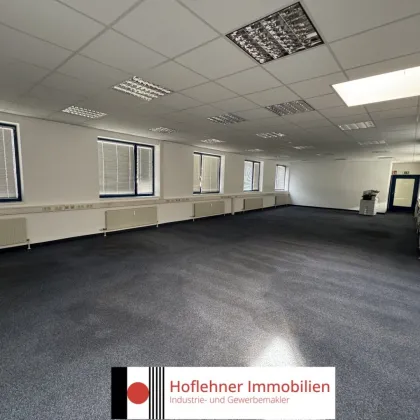 721m2 Büro auf 2 Etagen - Bild 3