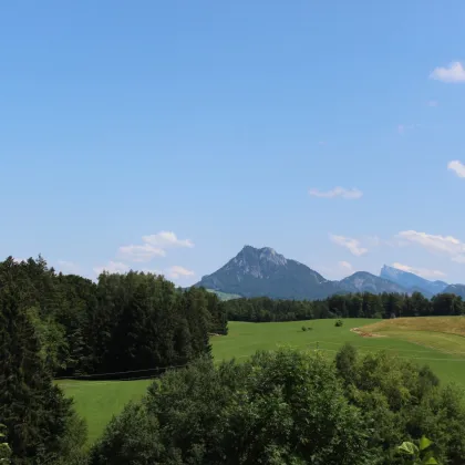 Hof bei Salzburg: 4-Zimmer Wohnung mit großer Terrasse und Garten zum Erstbezug - Bild 2