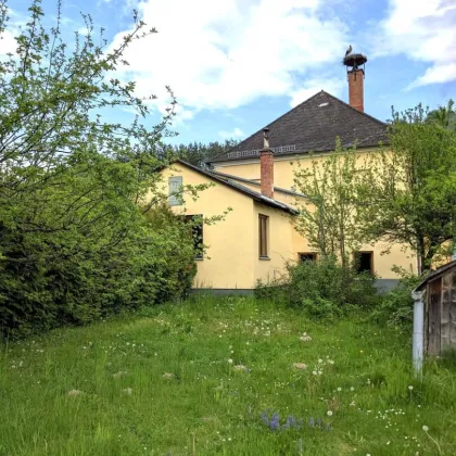 Einfamilienhaus mit ländlichem Charme und Flair mit großem, grünen Garten und Obstbäumen in kleinem, aber feinem Dorf Karl - Bild 2