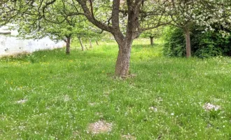 Einfamilienhaus mit ländlichem Charme und Flair mit großem, grünen Garten und Obstbäumen in kleinem, aber feinem Dorf Karl