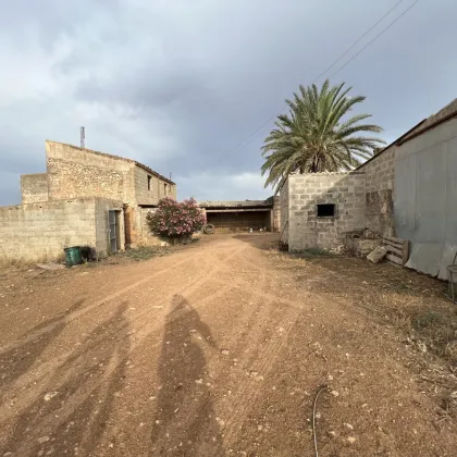 Ebenes Baugrundstück im Süden Mallorcas / Flat building plot in the south of Mallorca - Bild 2