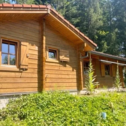 IDYLLISCHES SOMMERHAUS IN SEENÄHE - Bild 2