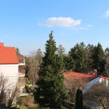 Wohnen an einem der begehrtesten Plätze von Mauer in unmittelbarer Umgebung der weitläufigen Weinberge. - Bild 2