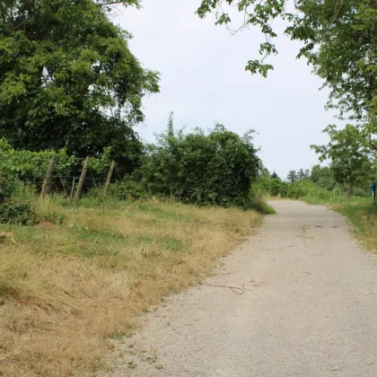 Wohnen an einem der begehrtesten Plätze von Mauer in unmittelbarer Umgebung der weitläufigen Weinberge. - Bild 3