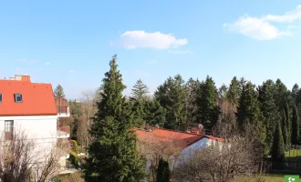 Wohnen an einem der begehrtesten Plätze von Mauer in unmittelbarer Umgebung der weitläufigen Weinberge.