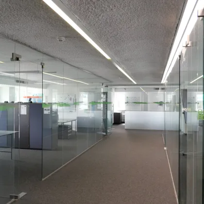 Büroetage - 275 m² - viel natürliches Licht - Salzburg Nord - Bild 2