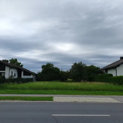 +++ Baugrundstück in bester Lage bei der Therme Lutzmannburg +++ - Bild 2