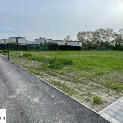 Unbebauter Eigengrund in neu errichteter Kleingartenanlage | 210m² - Ost-West-Ausrichtung - Bild 3