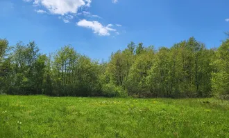 Agrarland 2,2ha, bestens geeignet für Pferde, inkl. 2.500m² Bauland in LABIN - Istrien Kroatien