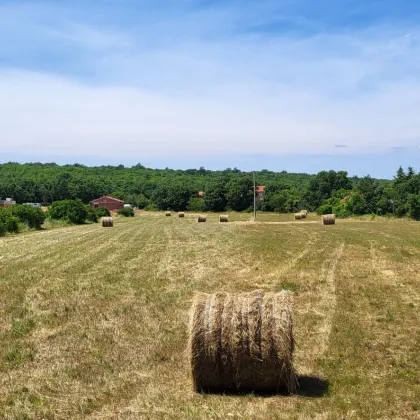 Agrarland 2,2ha, bestens geeignet für Pferde, inkl. 2.500m² Bauland in LABIN - Istrien Kroatien - Bild 2