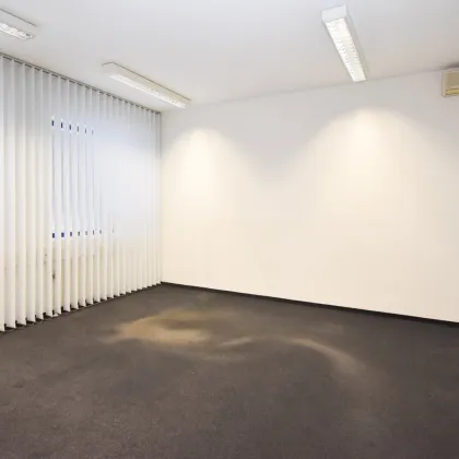 Geräumige Bürofläche 290m2 in 1230 Wien zu mieten - Bild 3