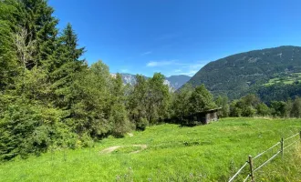 Wiese im vorderen Ötztal