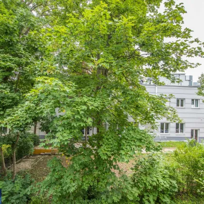 Sanierte (mietrechtliche) Neubauwohnung mit Balkon nähe Auhofcenter zu verkaufen - Bild 2