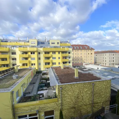 SONNIGE HOFRUHELAGE, 2 Zimmer zu SANIEREN, BLICK ins GRÜNE! - Bild 3