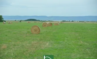 MODERNES, cooles Design, tolle Ausstattung - DURCHDACHTE Grundrisse für Ihren Wohntraum– PANNONIA SEEBLICK- immer Urlaubsfeeling!