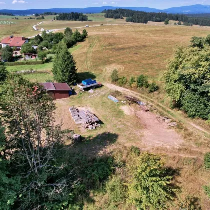 LIPNO REAL: Exklusives Baugrundstück: 1554 m² in Milná Frymburk - Bild 2