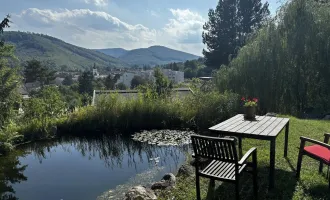 Architektenhaus mit Schwimmteich in bester Purkersdorfer Lage!